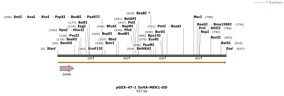 69708_map