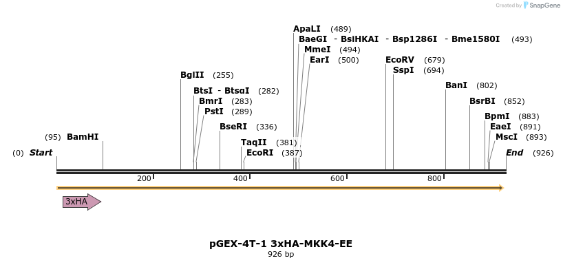 69711_map