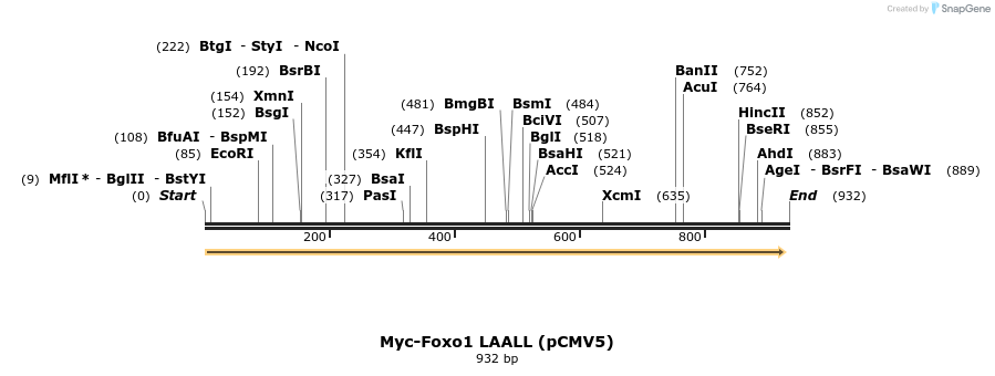 69713_map