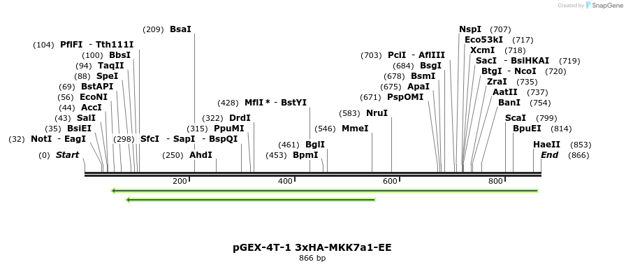 69715_map
