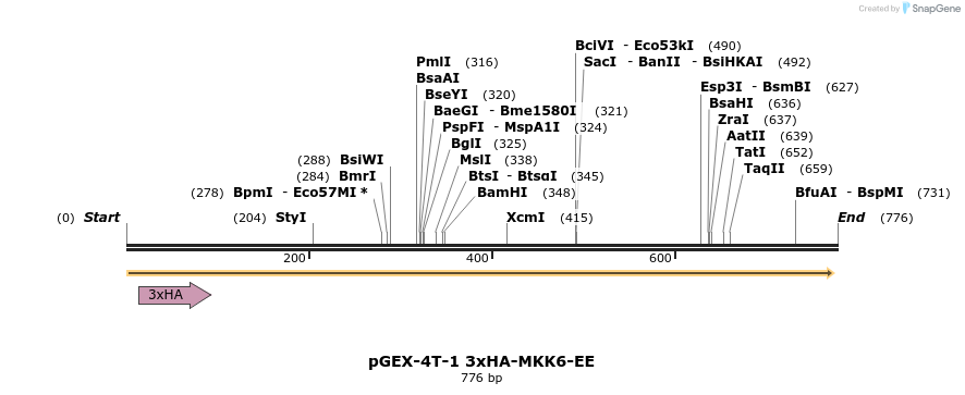 69716_map