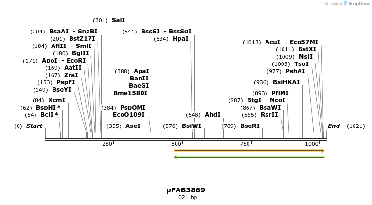 69726_map