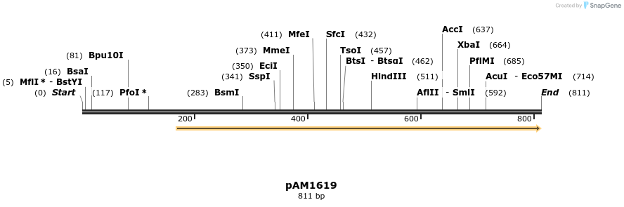 69731_map