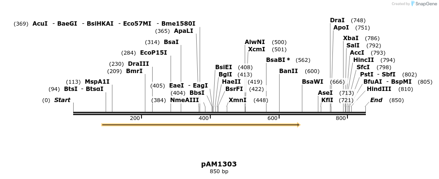 69746_map