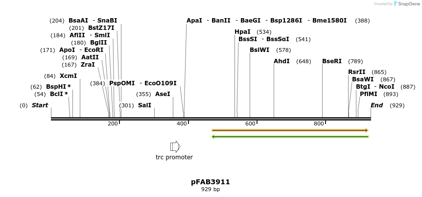 69748_map