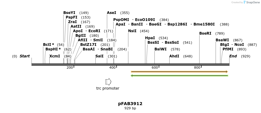 69749_map