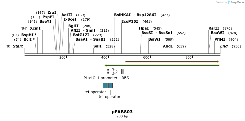 69750_map
