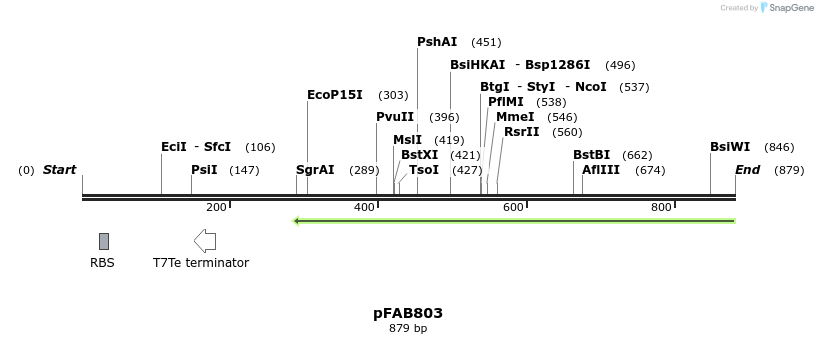 69751_map