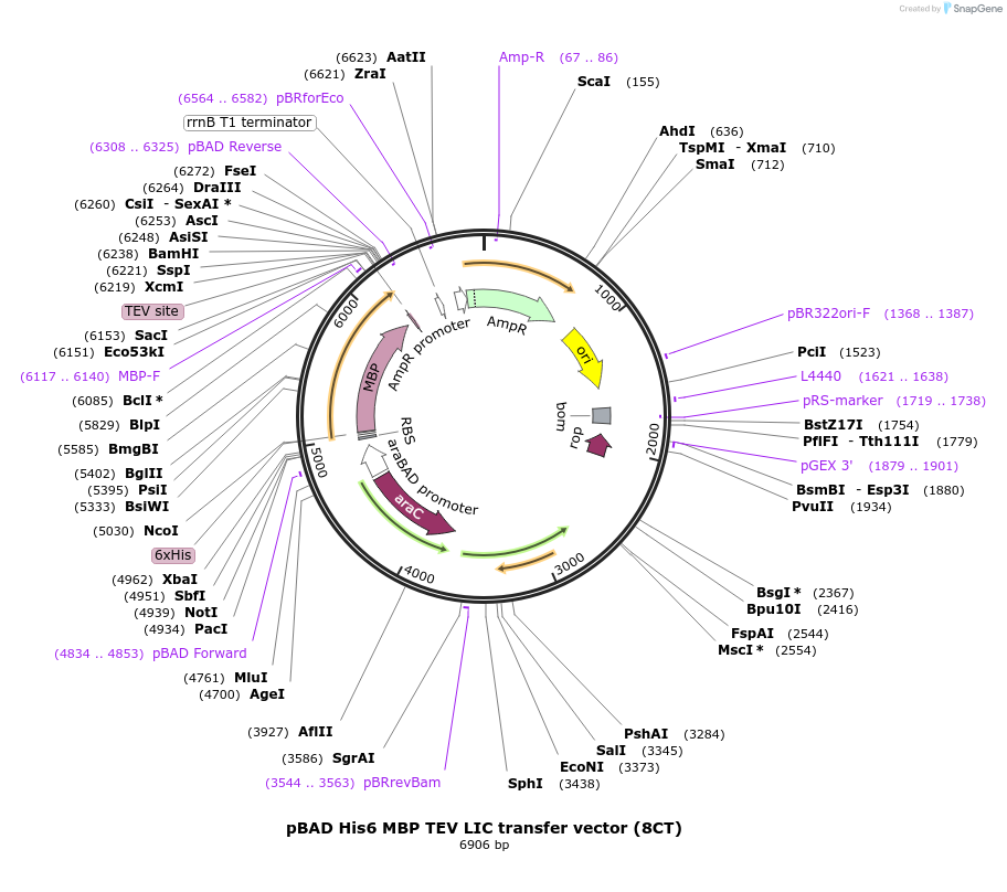 69762_map