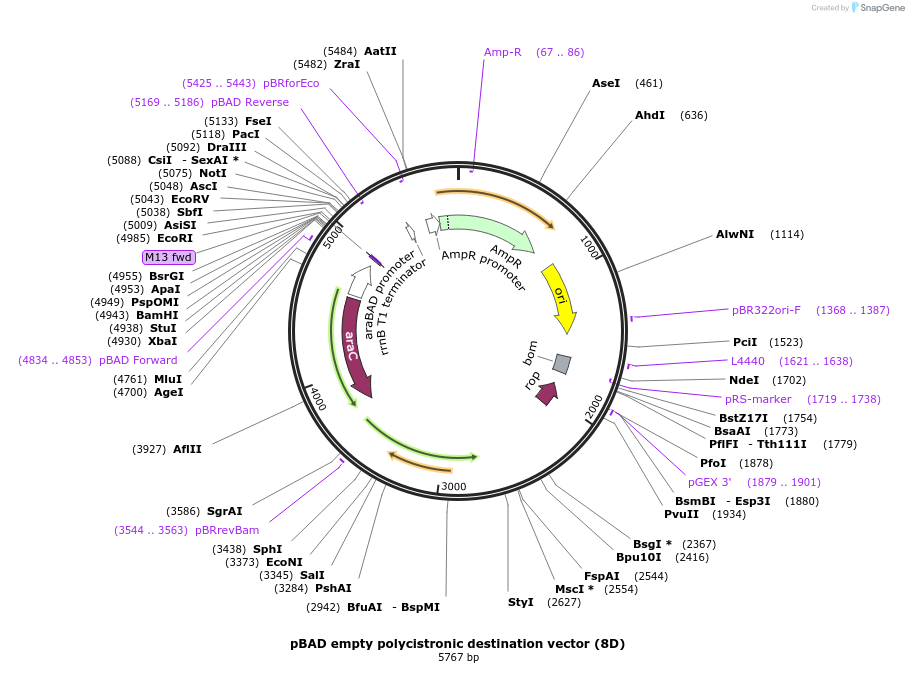 69764_map
