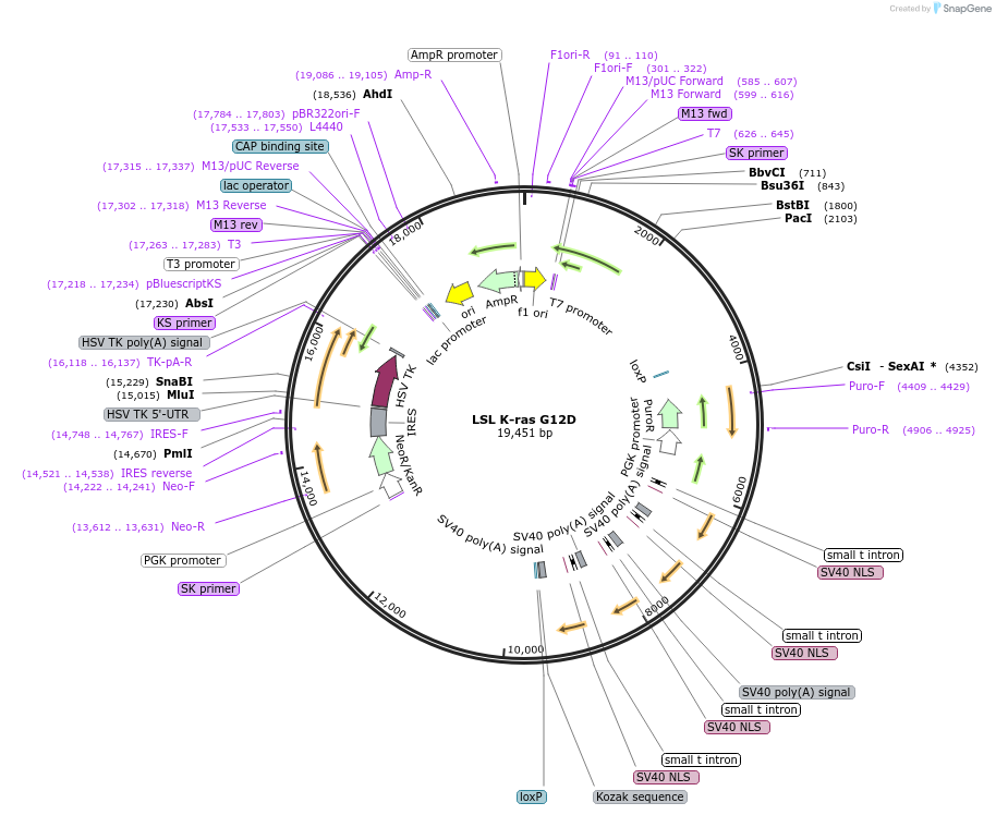 6982_map