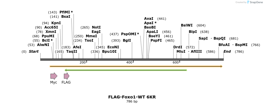 69840_map