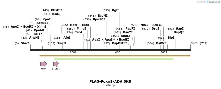 69842_map