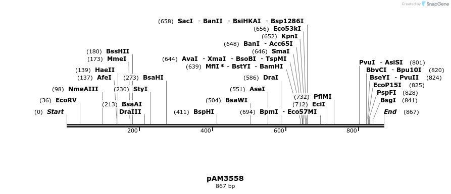 69843_map