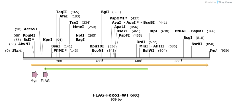 69845_map