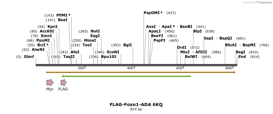 69846_map