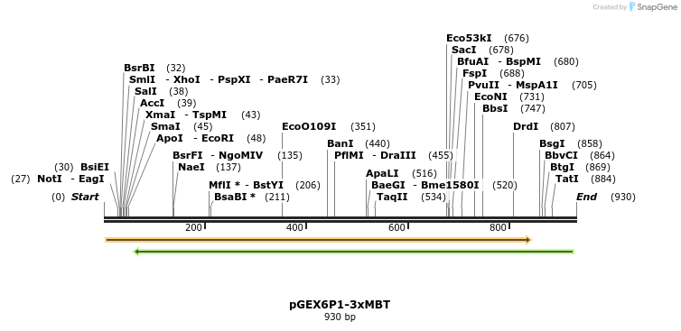 69847_map