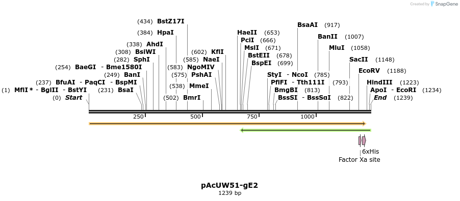 6986_map
