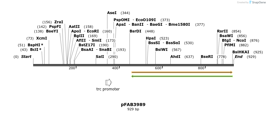 69876_map