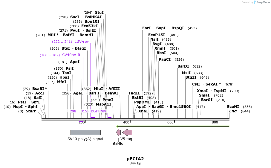 69886_map