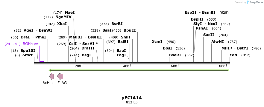 69888_map