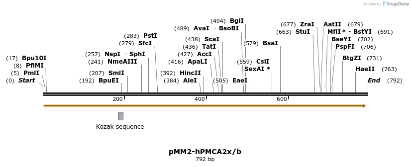 69895_map