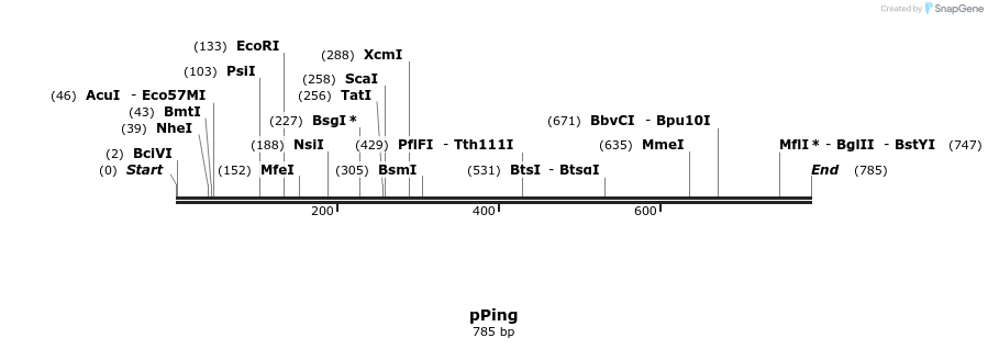 69903_map