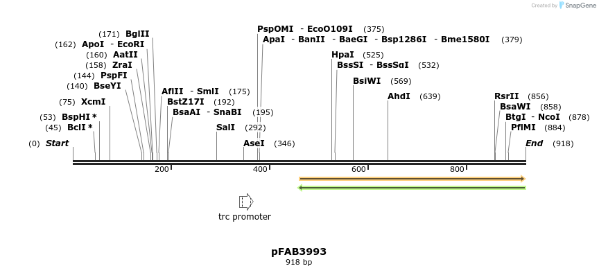 69913_map