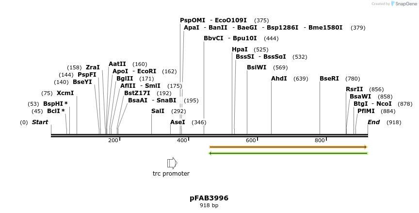69915_map
