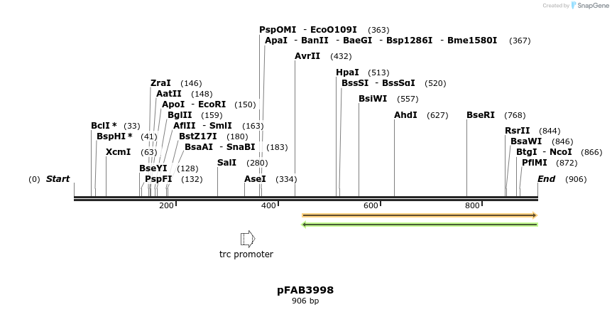 69918_map
