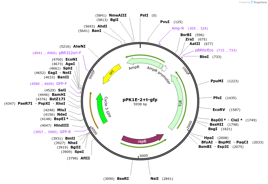 69919_map
