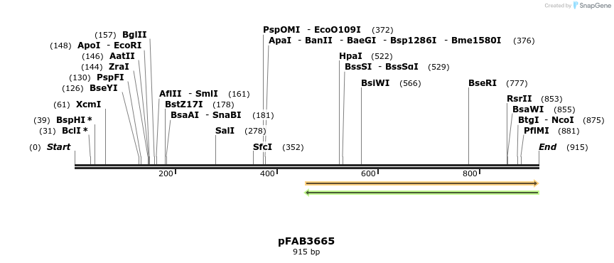 69923_map