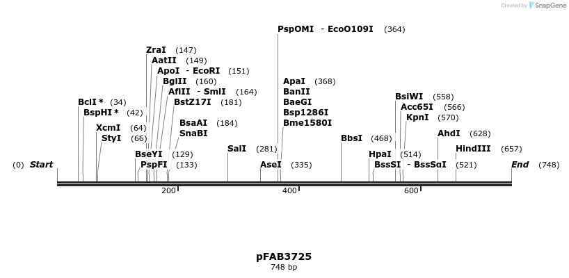 69931_map