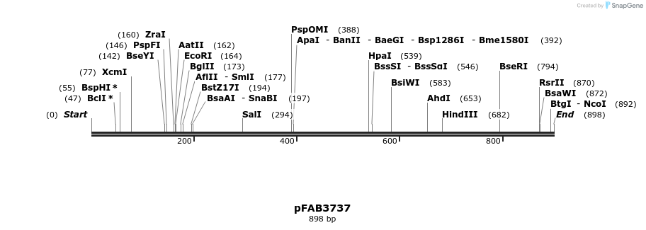 69935_map