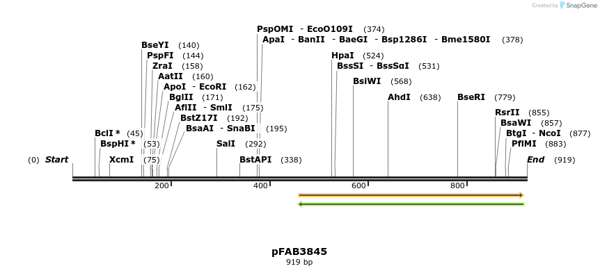 69941_map