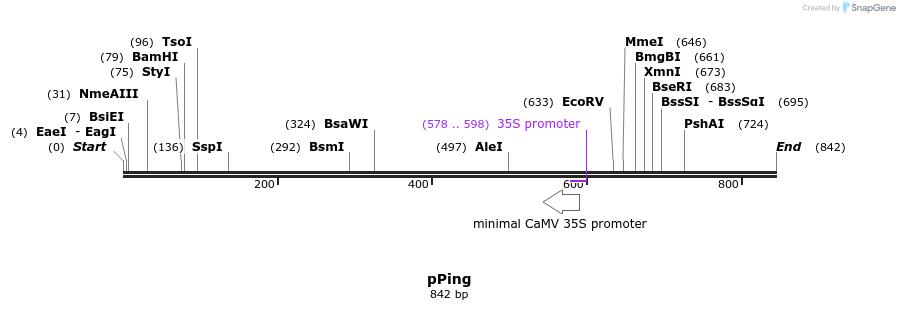 69960_map