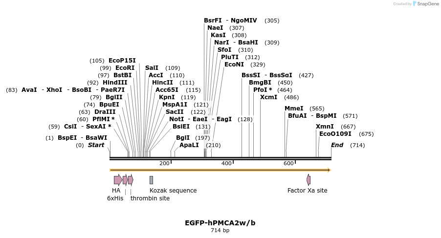 69968_map