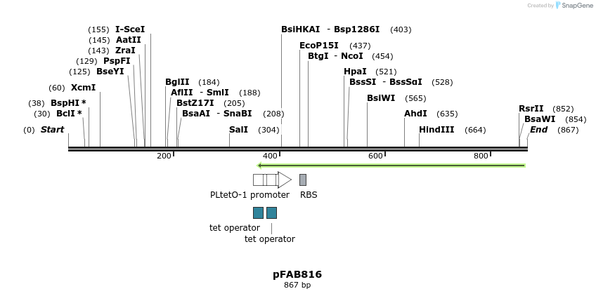 69974_map