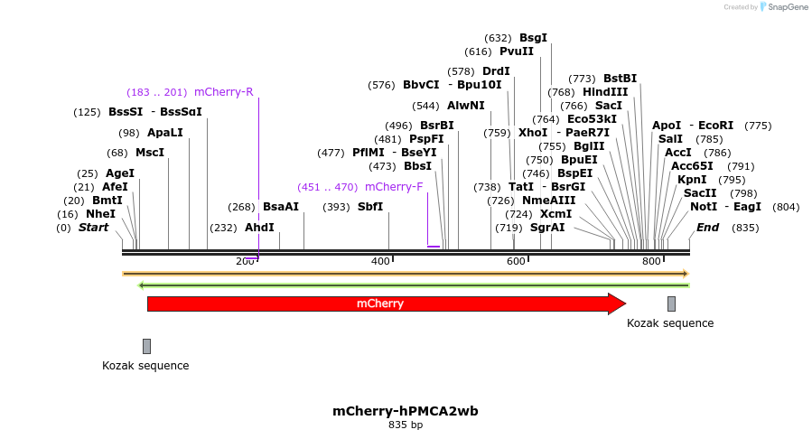 69976_map
