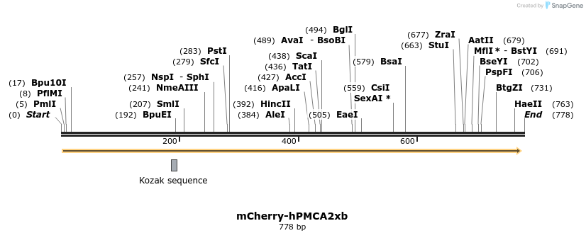 69980_map