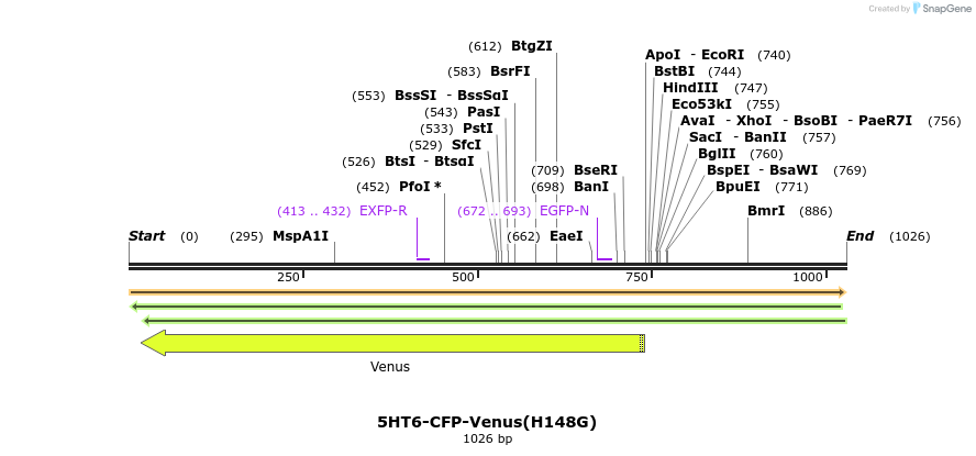 69981_map