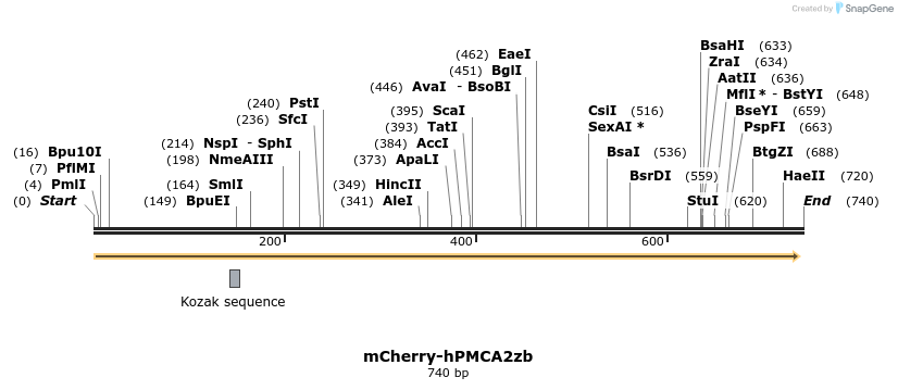 69983_map