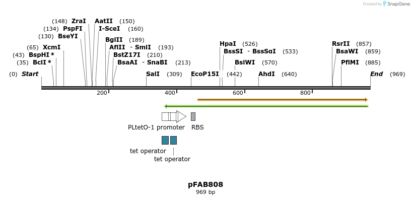 69986_map