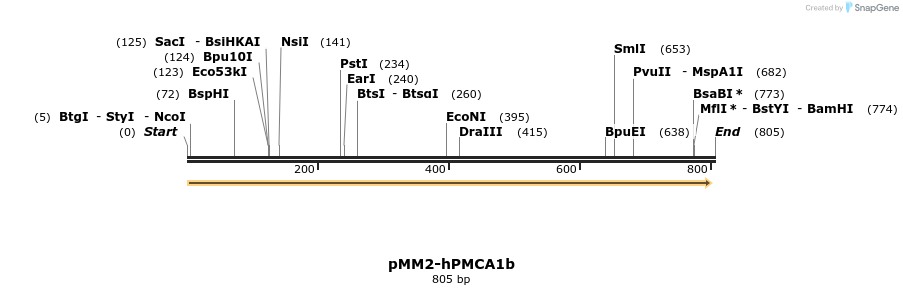 69988_map