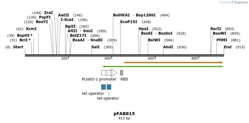 69989_map