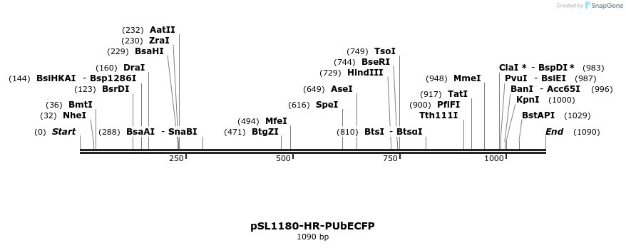 69992_map