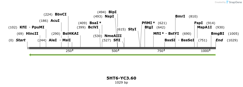 70005_map