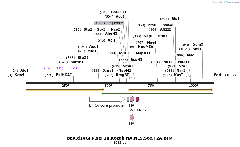 70007_map