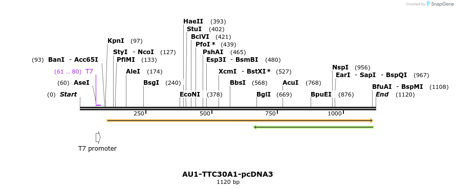 70009_map