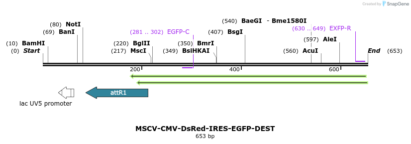 70010_map
